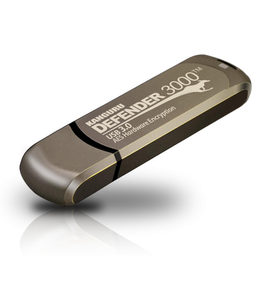 Defender 3000 USB 3 (16 GB bis 512 GB) Defender 3000 USB 3 (16 GB bis 512 GB)